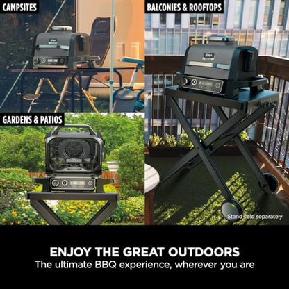 Woodfire Electric BBQ Grill & Smoker