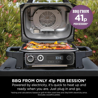 Woodfire Electric BBQ Grill & Smoker