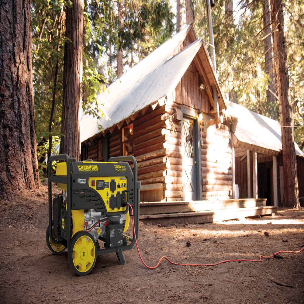 11,500/9,200-Watt Electric Start Gas Portable Generator with CO Shield